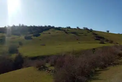 زمین کشاورزی در روستای سیوسرک با متراز ۲ هکتار