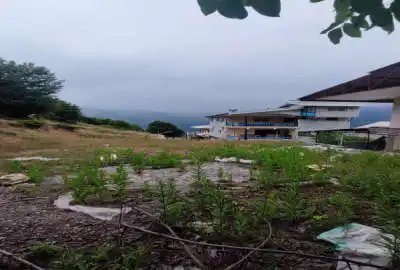 زمین ۱۸۵ متری داخل بافت روستای ییلاقی نرسو