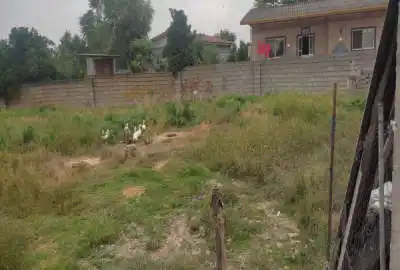 زمین بافت مسکونی آماده ساخت روستای کرچک نوایی