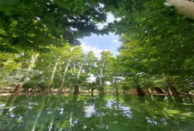 مزرعه کشاورزی حدود ۳۵ هکتار همراه امکانات