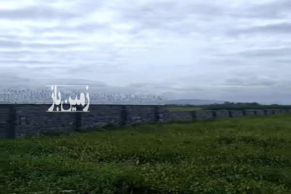 زمین مسکونی لشکریان سیاهکل ۱۲۳۸ متر-2
