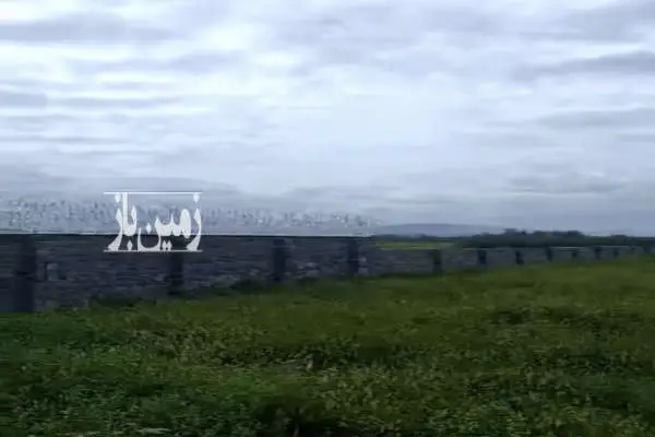 زمین مسکونی لشکریان سیاهکل ۱۲۳۸ متر - تصویر 2