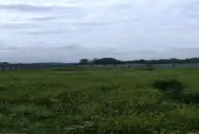 زمین مسکونی لشکریان سیاهکل ۱۲۳۸ متر