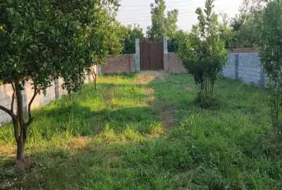 زمین یک پلاک وصل به بافت پای زمین آسفالت