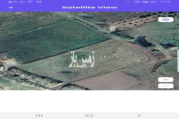 زمین شالیزاری ۳۰۰۰ متری با بر۴۰ روستای بالاکولا - تصویر 2