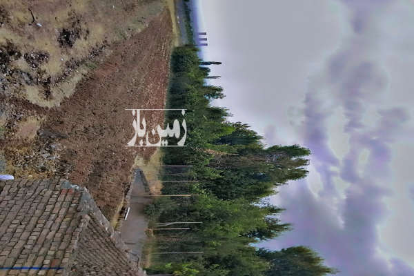 زمین ویلایی و دارای ۲۰ دقیقه آب روستای عیش اباد-2