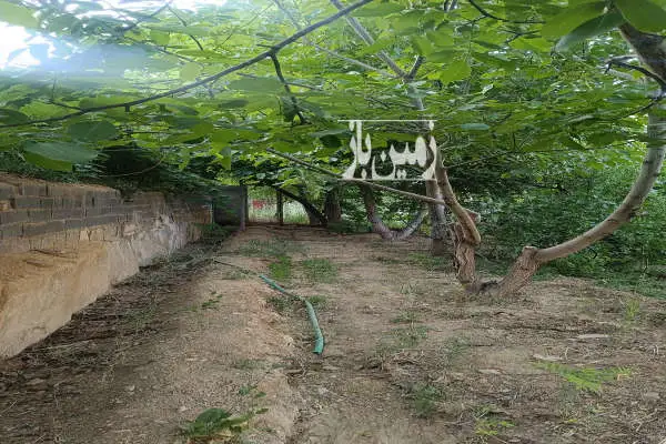 زمین دارای سوییت و انبار در محله ساران ۱۵۰۰ متری - تصویر 2