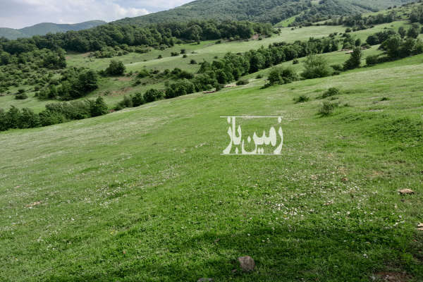 زمین به صورت تفکیک شده و قطعه ای در ویشان ۱۰۰۰ متر-2