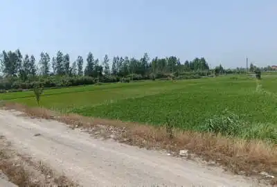 زمین فروشی ۸۱۰۰ متری کمربندی جنوبی بابل به سمت قایمشهر