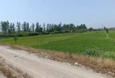 زمین بر اصلی کمربندی جنوبی بابل به قایمشهر ۷۰۰۰ متر