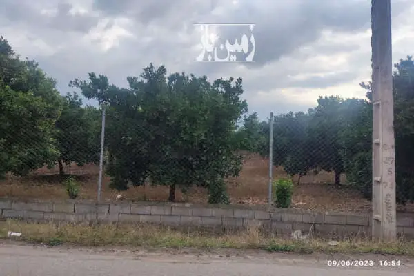باغ زیبا با درختان چند ساله آبیاری قطرهای ۸۰۰۰ متر - تصویر 4