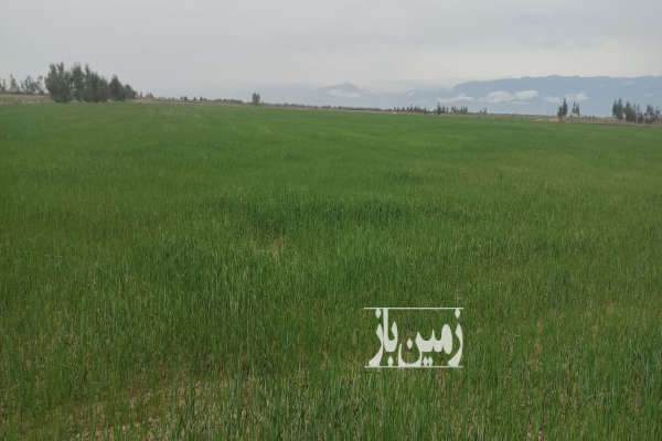ده هکتار زمین کشاورزی با مشتری واقعی راه میام-3
