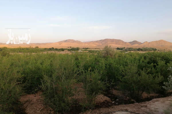 باغ کشاورزی انار نزدیک شهر قم روستای خلج اباد ۸۰۰۰ متر-1