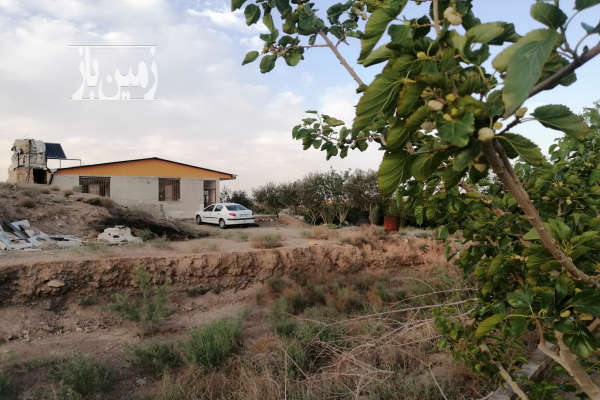 باغ کشاورزی انار نزدیک شهر قم روستای خلج اباد ۸۰۰۰ متر-2