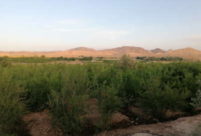 باغ کشاورزی انار نزدیک شهر قم روستای خلج اباد ۸۰۰۰ متر