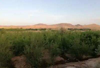 باغ کشاورزی انار نزدیک شهر قم روستای خلج اباد ۸۰۰۰ متر