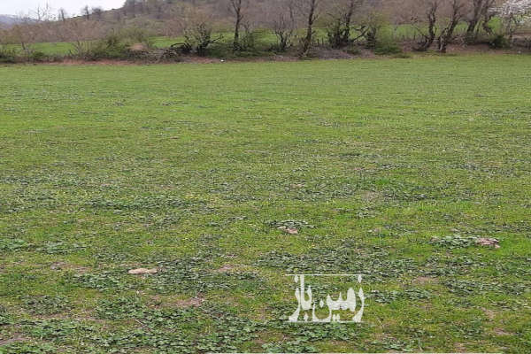 یک قطعه زمین در تالش روستای لرون ریک ۵۰۰ متر-2