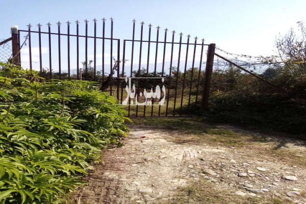 باغ مرکبات واقع در روستای دشتی کلاته بندرگز-1
