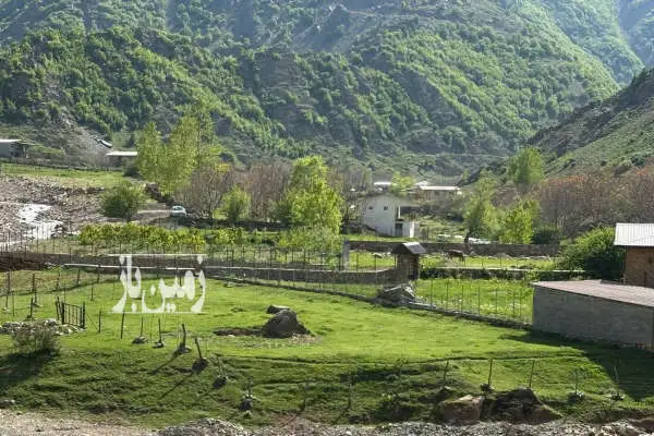 زمین ۳۵۰ متری روستای زیبای دلیر با چشم انداز زیبا - تصویر 2