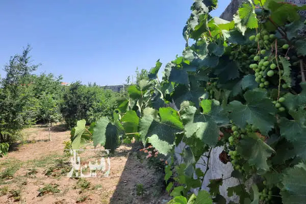 فروش زمین مسکونی ۹۰۰ متری جای دنج در روستای تیرتاش - تصویر 3