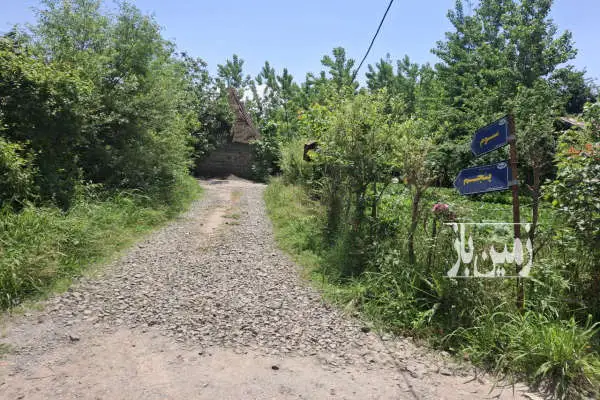 زمین ۴۲۴ متری روستای کوچکده همراه با درخت صنوبر - تصویر 3