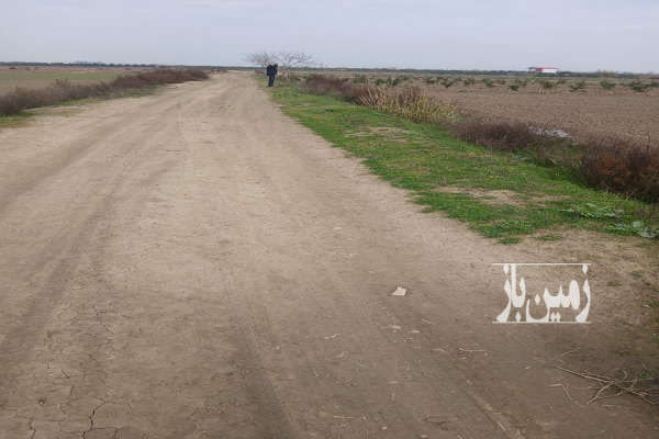 زمین مزروعی خشکزاری مخصوص کاشت دیم کوهی خیل-1