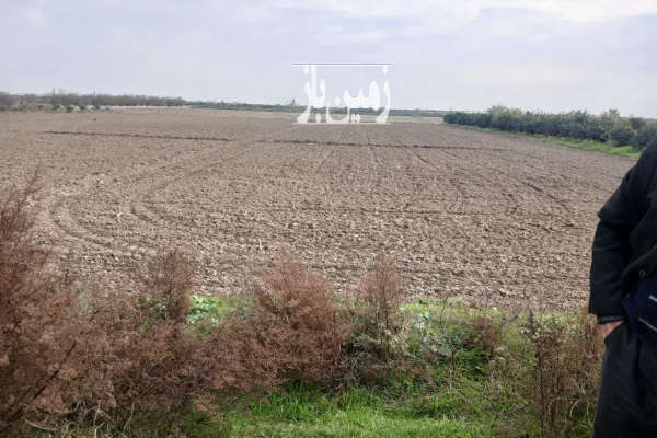 زمین مزروعی خشکزاری مخصوص کاشت دیم کوهی خیل-3