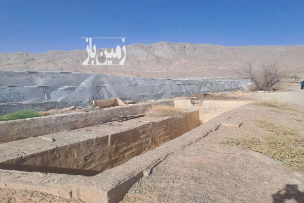 ۴ هزار متر گلخانه و الباقی زمین کشاورزی وزیر آباد-2