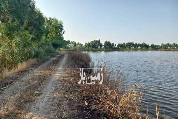 زمین پرورش ماهی سند دار روستای انبارسر حدود ۶ هکتار - تصویر 3