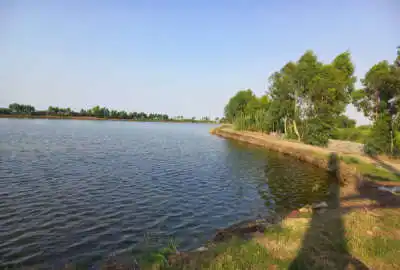 زمین پرورش ماهی سند دار روستای انبارسر حدود ۶ هکتار