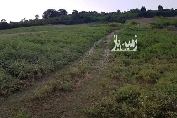 زمین زراعی ویوی عالی در بالاکولا ۱۰۰۰ متر - تصویر 3