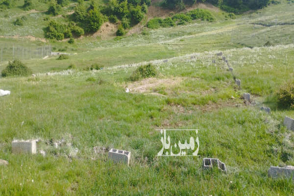 زمین در روستا ورپی ویو روبه جنگل و کوه داری جاده ۶ متری-4