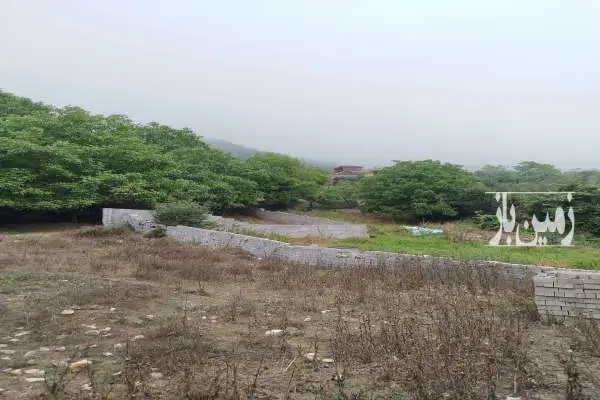 زمین در ییلاق جاده هراز چلاو روستای جنگلی شاهزید ۲۵۴ متر - تصویر 2