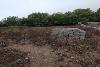 زمین در ییلاق جاده هراز چلاو روستای جنگلی شاهزید ۲۵۴ متر