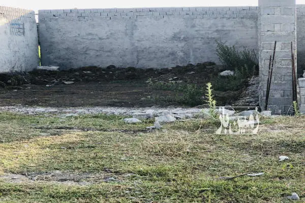 زمین مسکونی ۲۵۰ متر واقع در شهرستان میاندورود روستای زید سفلی - تصویر 2