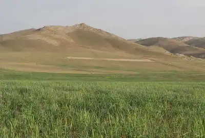 زمین مناسب نرسیده به فیروزکوه ارجمند روستای سله بن ۲۵۰۰۰ متر