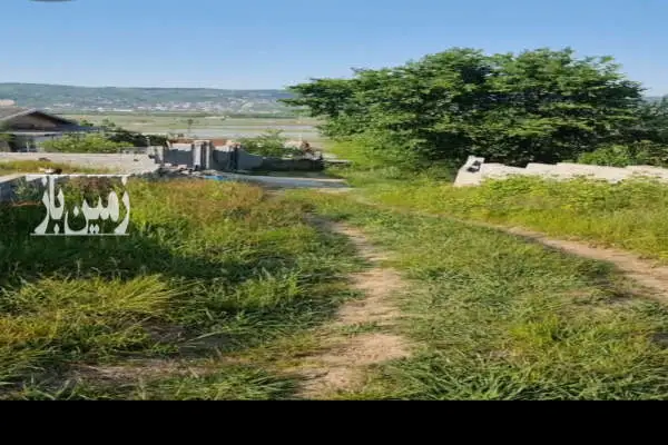 زمین باغی ویو ابدی ۳۰۶ متری در روستای کادر کلا - تصویر 2