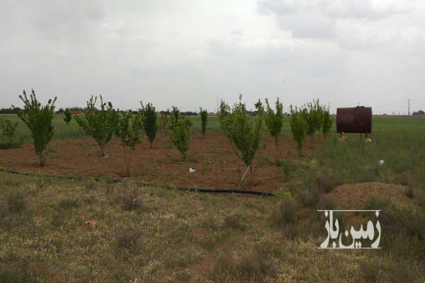 باغچه ۱۰۰۰ متری نزدیک به شهر فرمهین-4
