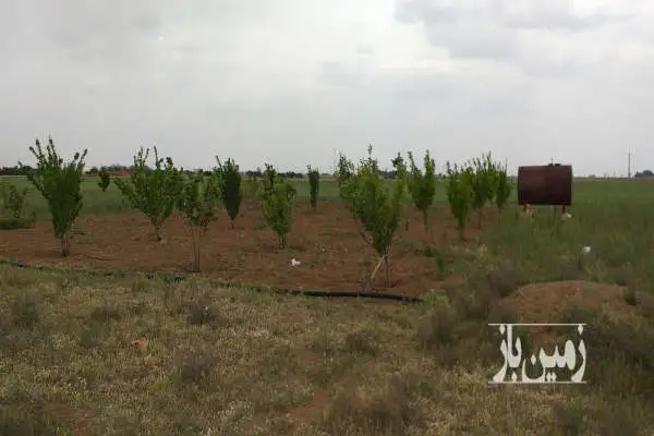 باغچه ۱۰۰۰ متری نزدیک به شهر فرمهین - تصویر 4
