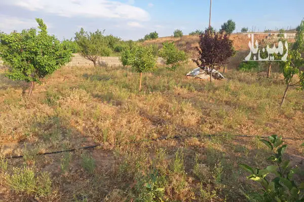 باغ و زمین خالی روستای دهسرخ ابتدای جاده نیشابور ۳۵۰۰ متر - تصویر 4