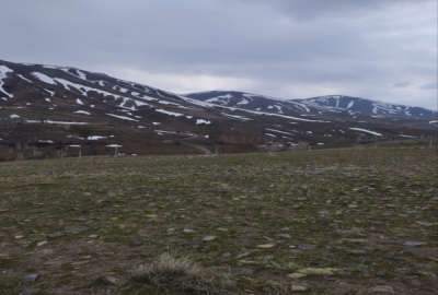 زمین کشاورزی سمت خان چایی مسیر روستای امام ۲ هکتار