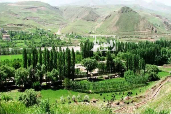 زمین مسکونی ۳۵۰ متر در زیدشت طالقان-4
