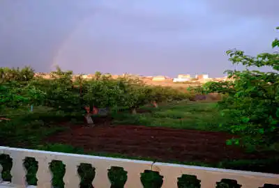 باغ تک برگ سند شهرک شهاب الدین اهر ۱۸۰۰ متری