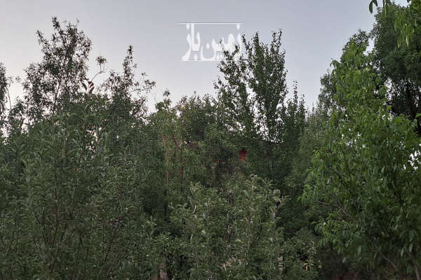 باغ ویلا دنج بسیار آرام در حیدره بالای شهر محله آقا ۷۵۰ متر-4