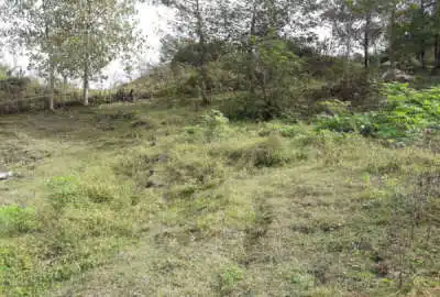 زمین مسکونی در روستای بیجارسر واقع در شهر شفت ۳۶۰ متر