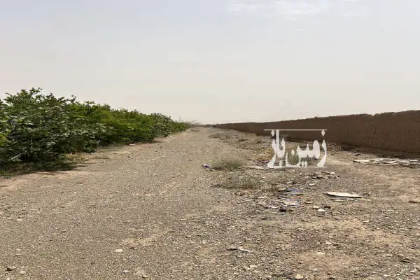 زمین چهار دیواری باغی ۳ هکتار جاده شهر صنعتی حکیم آباد - تصویر 2