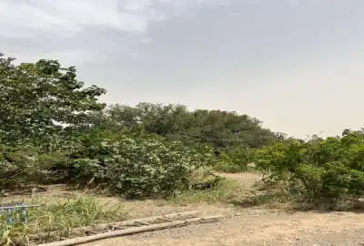زمین چهار دیواری باغی ۳ هکتار جاده شهر صنعتی حکیم آباد