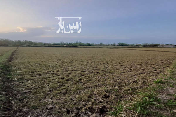 زمین کشاورزی به متراژ ۵۸۳ فروشی در خیابان سپیدرود-1