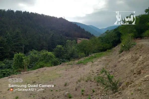 زمین باغی اعلام به سند ۹۰۰ متر روستای جمشید آباد - تصویر 4