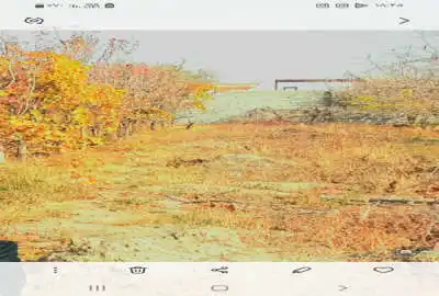زمین در روستای خرابه امین در بافت ۳۳۰ متر